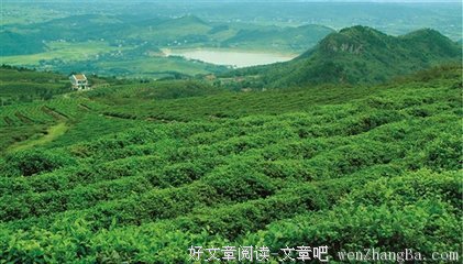关于放之四海而皆准的语句