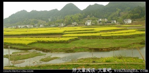 有关和美的美句摘抄