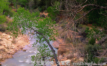 关于难能可贵的名言