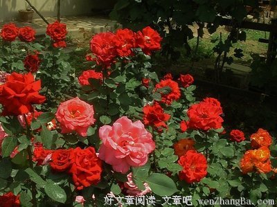 有多少癌症病人成了唐僧肉?