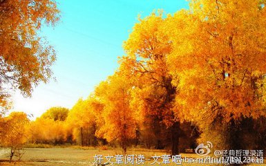 让自己的身边只剩下美好的事物和美好的人