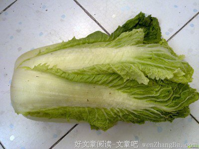 24 . 公婆决裂