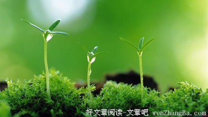关于磊落的语句
