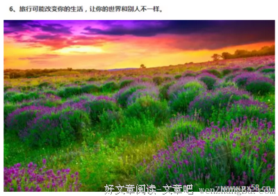 人为什么要旅行？这是我听过最好的答案