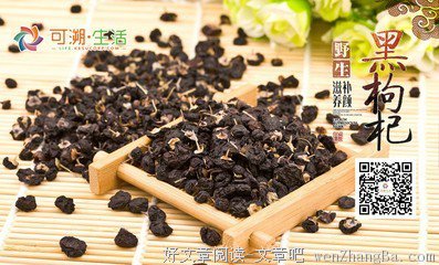 最经典的言溯的名言名句