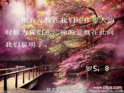 最新的《圣经》好段摘抄