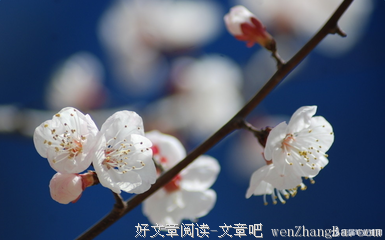 描写折戟沉沙的经典句子