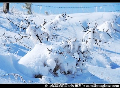 妙语连珠的语句摘抄_关于妙语连珠的语句