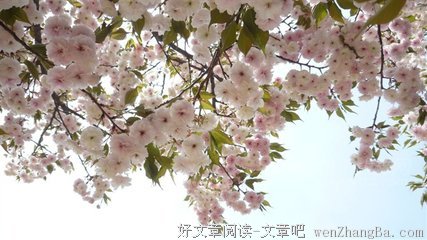 最经典的顾城精彩语录
