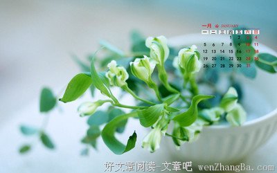 关于赏心悦目的语句