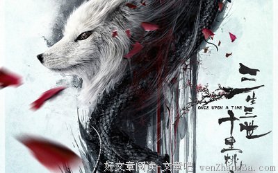 最全的《三生三世十里桃花》小说书摘