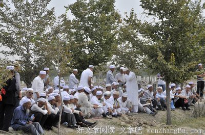 最新的《穆斯林的葬礼》经典名句