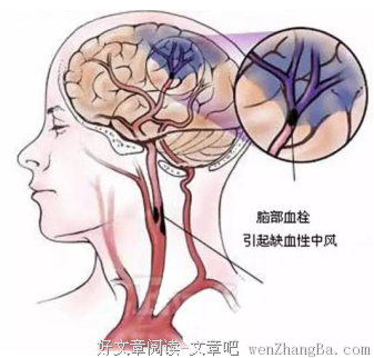 解剖12星座大脑， 你们脑袋里装的到底都是啥！
