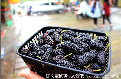 一个人衰老的开始，是不再旅行