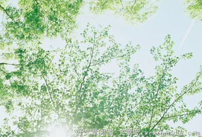 有关风吹草动的美句摘抄
