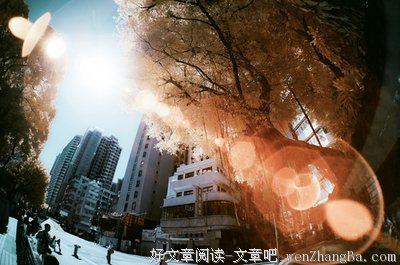 关于刚柔相济的语句