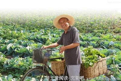 越省越穷，真是最荒谬的“穷人思维”