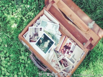 关于咪蒙的语句