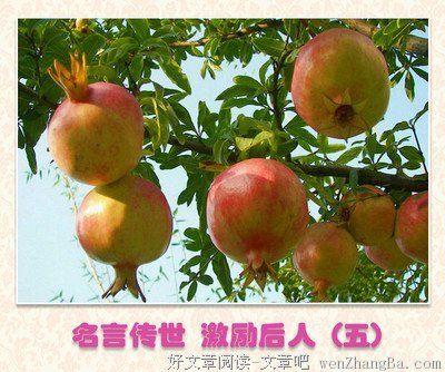 小雀的名句_关于小雀的名句