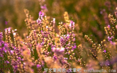 最新的《谁是李世民》语录摘抄大全