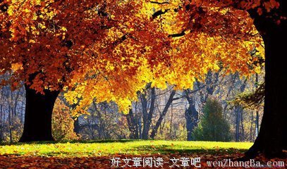 老气横秋的名句_关于老气横秋的名句