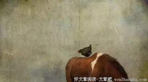 不要站在幸福里找幸福（深度好文）！