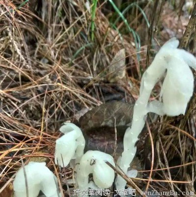 【济南脱单】第207期单身俊男靓女