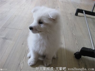 中国，谢谢你如此宠我