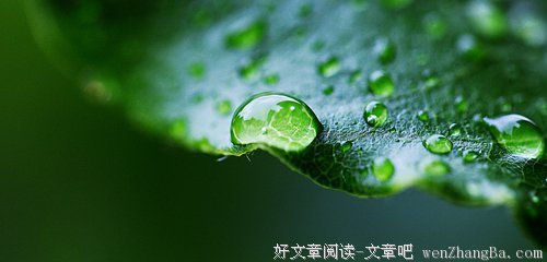 描写显山露水的经典句子