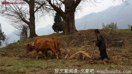 描写男耕女织的语句摘抄