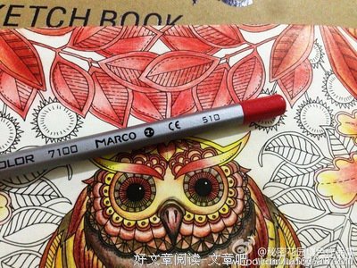 最全的《秘密花园》语录摘抄