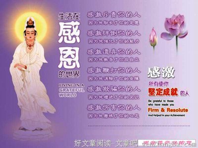 关于杨子的座右铭