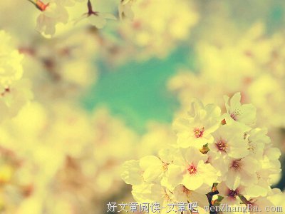 最全的《如果那时我知道》经典语句