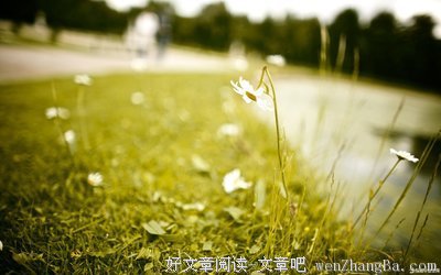 描写寂寞的语句摘抄