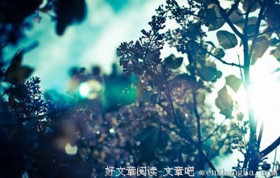 根本格言警句