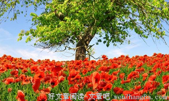 关于不明不白的名句摘抄
