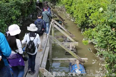 我们为什么能吸引9万只鸟来米埔越冬 | 文贤继 一席第510位讲者