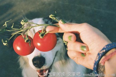 15条关于不敢当的经典语句