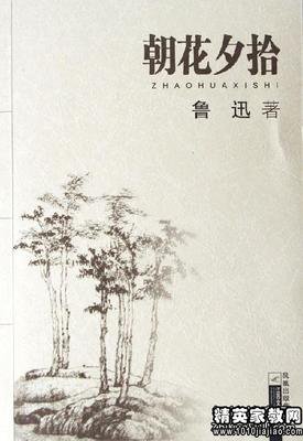 有关回味无穷的美句摘抄