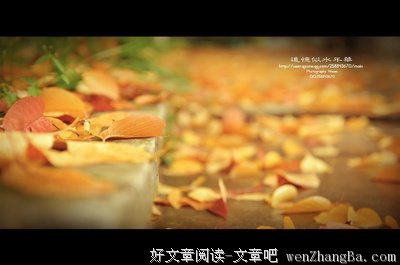 最新的《追忆似水年华》小说句子