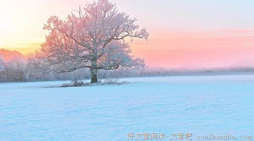 给三十岁的8条人生建议