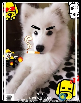单身怎么了？泡你老婆了吗？