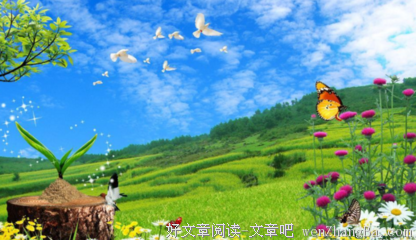 陈信宏经典语录