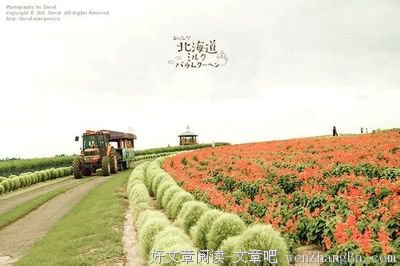 最全的陶立夏名句欣赏
