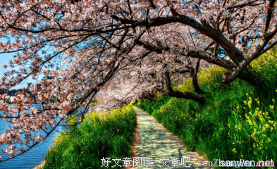 白许的句子