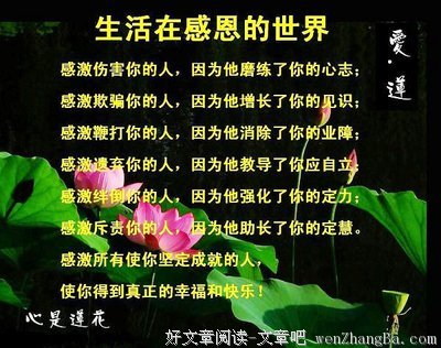 关于罗曼的唯美语录