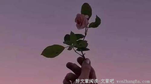 你的教养价值千万