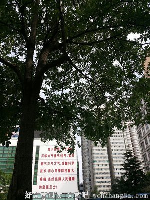 你残疾我哑巴，咱两刚好可以组乐队