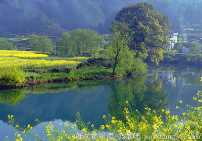 《青慕集》佳句摘抄