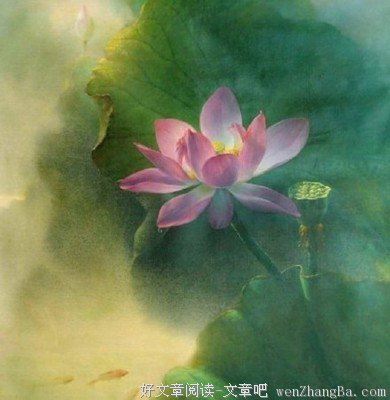 【美文殿堂】醉我倾城仙/莲沐初光